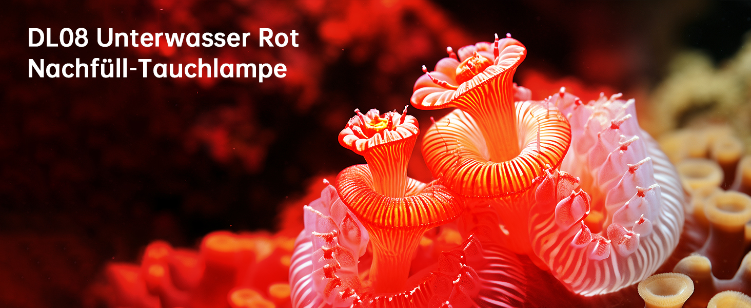 Ліхтар підводний Wurkkos DL08 – 3600 люмен, IPX8, з червоним та UV світлом, регулювання потужності, режими Spot/Flood, Type-C, CRI 90