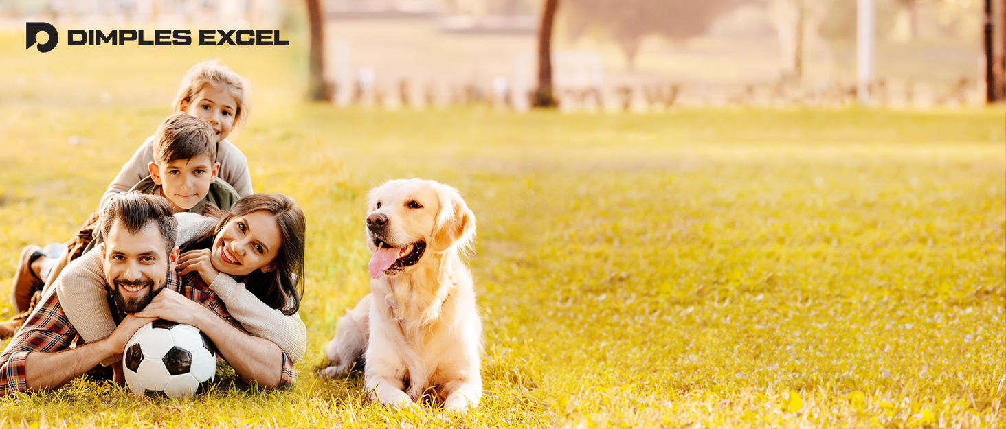 Ворота для футболу Dimples Excel Pop-Up - розкладні для дітей | 1 або 2 шт. в розмірах 120x90 / 152x110 / 213x152 см | 3 кольори на вибір | З м'ячем, насосом, конусами та мішенню (опціонально) | Для саду та подарунка