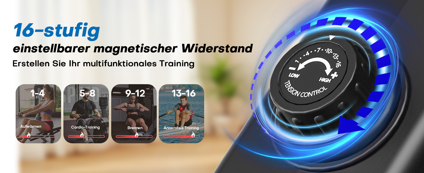 Гребний тренажер DMASUN для дому з магнітною системою опору, 16/32 рівні навантаження, LCD-дисплей, до 160 кг, чорний