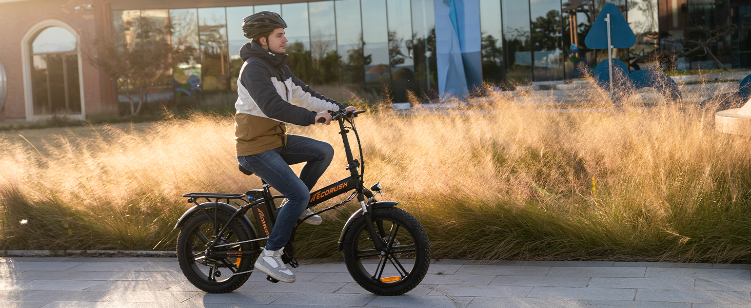 Велосипед складаний ECORUSH E-Bike 20 товста шина 250Вт/48В/15Ач, синій