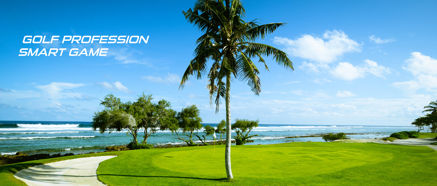 Гольф сумка MAZEL з роздільником на 2 сторони, 2 кишені, регульовані плечові ремені, високоякісний 900D нейлон, легкий матеріал, сіра гольф сумка-олівець для чоловіків та жінок