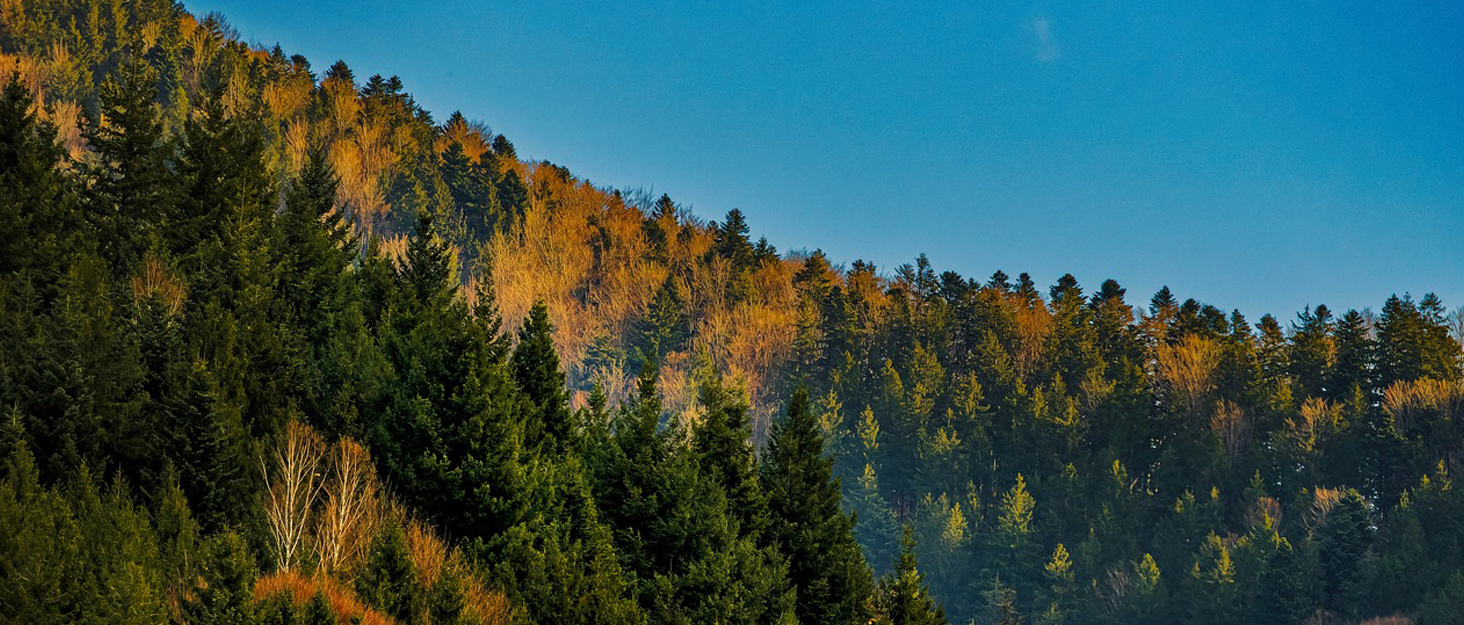 Дитячі кросівки RICOSTA Move для хлопчиків, півчеревики, ширина середня, знімні устілки, RicostaTEX (27 EU, блакитний колір)