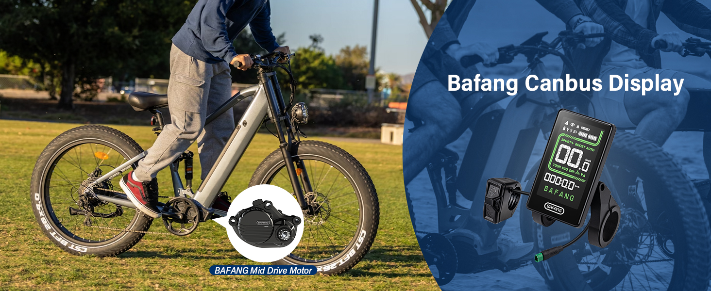 Дисплей BAFANG Ebike CAN для M-Motors, комп'ютер 0-9 PAS C020