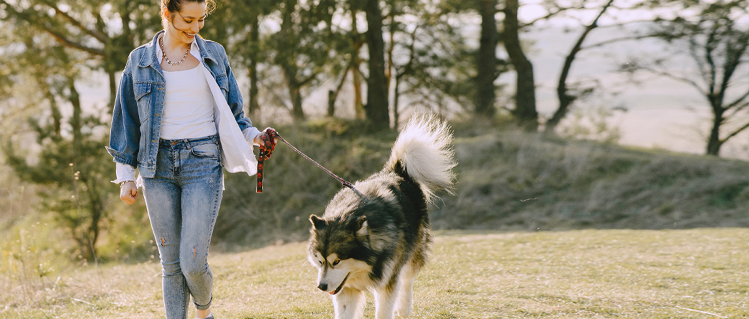 Кросівки для бігу Barfußschuhe: чоловічі та жіночі, зручні, дихаючі, з широкою передньою частиною, антиковзкі, чорні, 43 EU