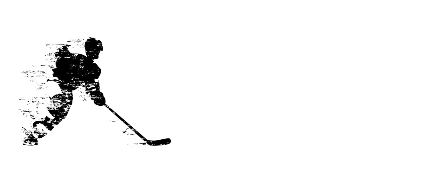 Сумка для ковзанів VPRO: для ковзанярства на льоду та роликів, з ремінцем та блискавкою, для дітей та дорослих