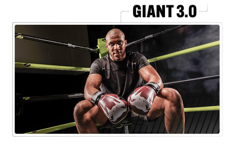 Боксерські рукавички Venum Giant 3.0 для муай-тай та кікбоксингу, 16 Oz, чорний/срібний