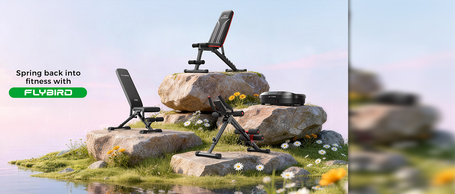 Відкидна лава для тренувань FLYBIRD M-360KG: регульована, до 544 кг, для дому