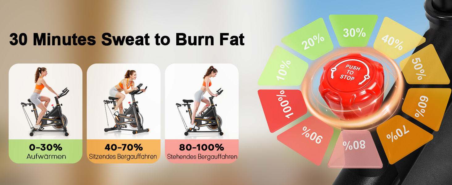 Велотренажер DMASUN: Тихий ергометр для дому з регулюванням опору, дисплеєм та підставкою для планшета. Ідеальний для кардіотренувань в приміщенні. Максимальне навантаження: 160 кг, колір - помаранчевий.