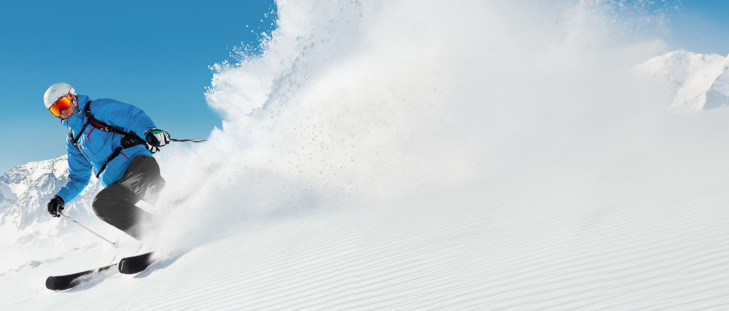 TOURIT Набір для перевезення лиж та черевиків: валіза для лиж на 2 пари (195 см), водонепроникний матеріал 900D Oxford, з колесами, сірий