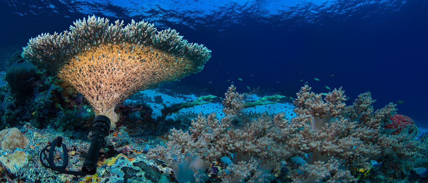 Willcrew DX70: Потужний водонепроникний дайверський ліхтар з регулюванням яскравості та UV/Red світлом, 3000 люменів, 100 метрів, для дайвінгу та фото/відео зйомки під водою