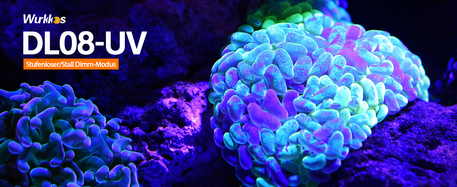 Ліхтар підводний Wurkkos DL08 – 3600 люмен, IPX8, з червоним та UV світлом, регулювання потужності, режими Spot/Flood, Type-C, CRI 90