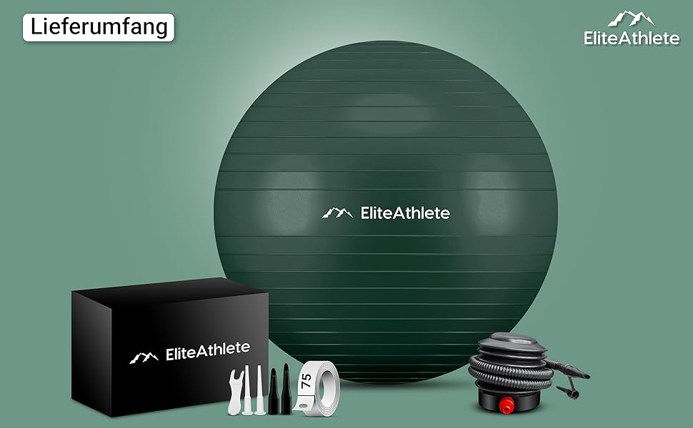 Фітбол для фітнесу, йоги та офісу Deep Forest 55 см з антивибуховою системою