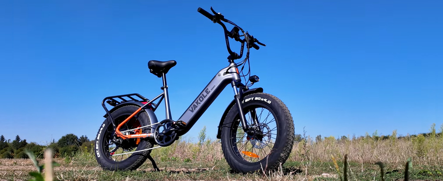 E-Bike 20 Fatbike, 48В 20Ач, до 110 км, 7-швидк.