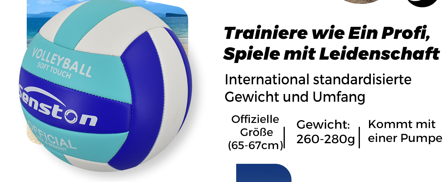 Волейбольний м'яч Senston, розмір 5, вологостійкий, з помпою, для пляжу та басейну, Mauve