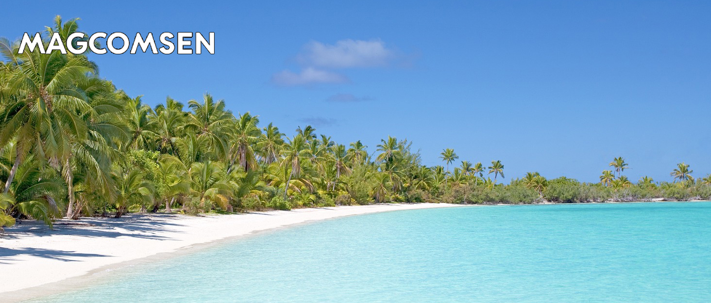 Шорти спортивні чоловічі MAGCOMSEN, дихаючі, легкі, для тренувань та прогулянок, з кишенями на блискавці (темно-синій, 36)