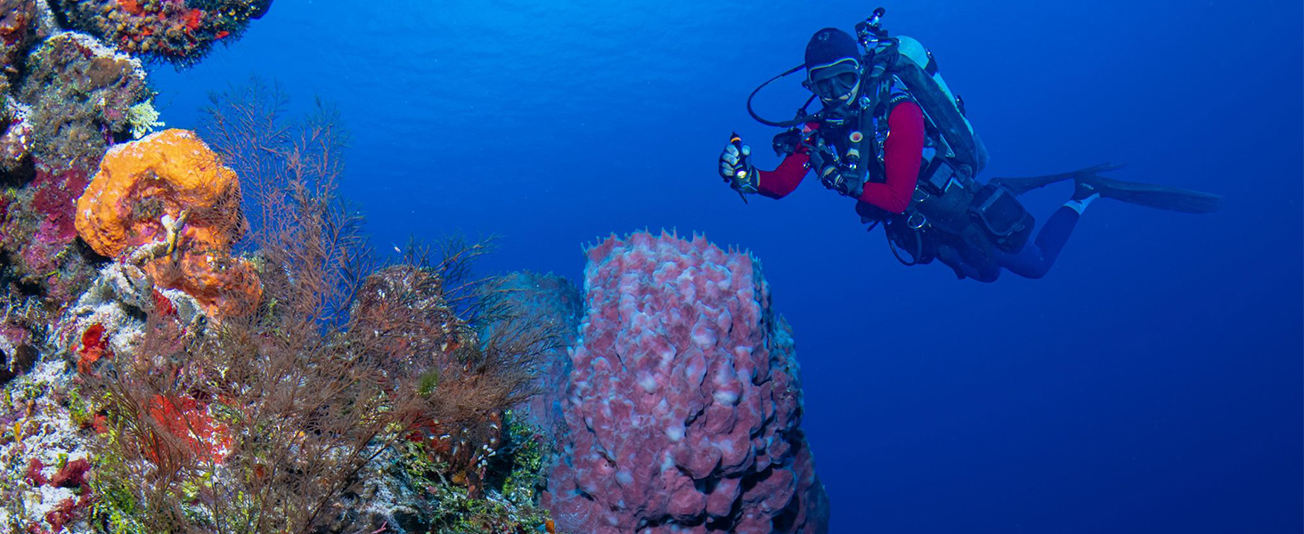 Ліхтар підводний ORCATORCH D710, 3000 люмен, IP68, 150м, з індикатором заряду