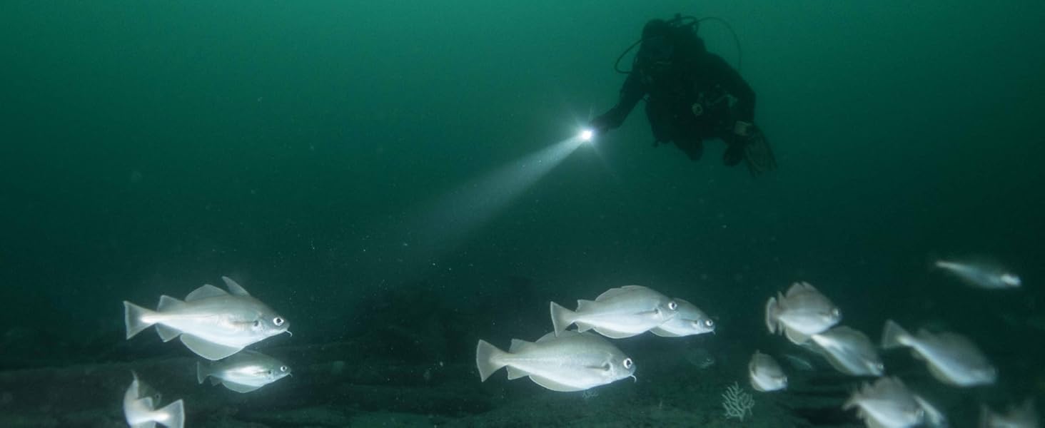 Ліхтар підводний ORCATORCH ZD710MK2 LED з регулюванням фокусу, 1500 люмен, 4 режими, 2-в-1 (прожектор та світло, що розливається), IP68, водонепроникність до 150м, акумулятор для дайвінгу, кемпінгу