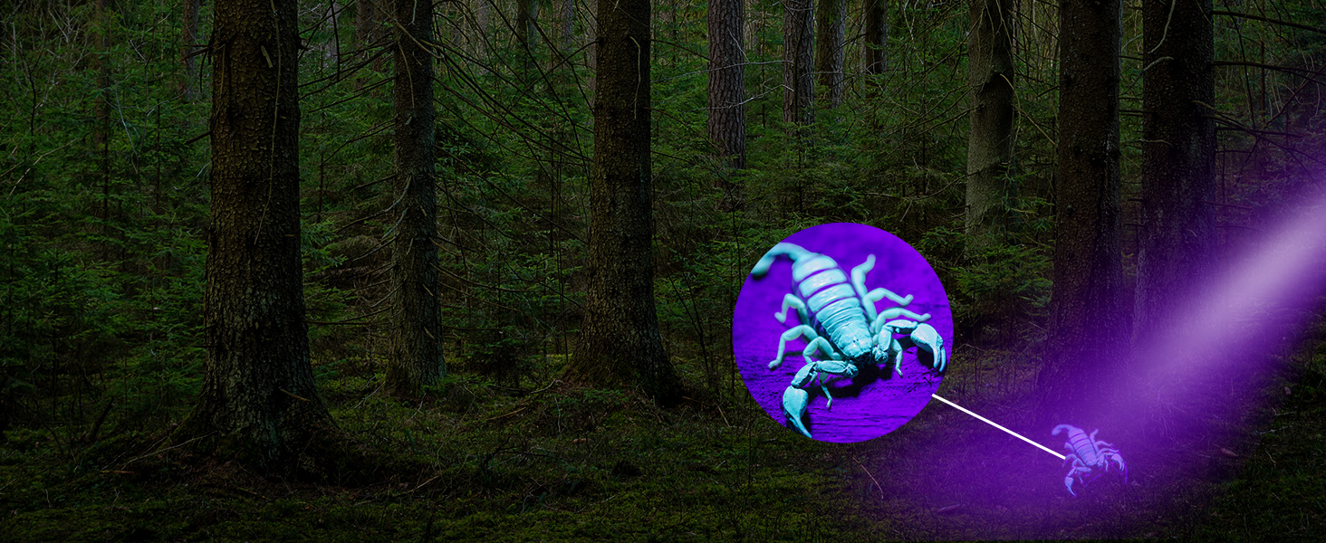 COSOOS LED налобний ліхтар з USB зарядкою, чорним світлом, водонепроникний, для дітей, активного відпочинку, бігу, прогулянок з собакою, 2 шт.