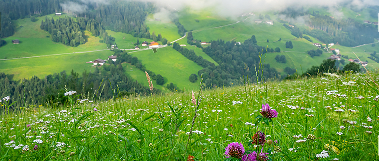 Босижні кросівки хай-топ для чоловіків та жінок. Широкі, легкі, зручні босижні кросівки для ходьби, трейлраннінгу, фітнесу. Zero Drop підошва, антиковзаюча, білі (47 EU, світло-хакі)