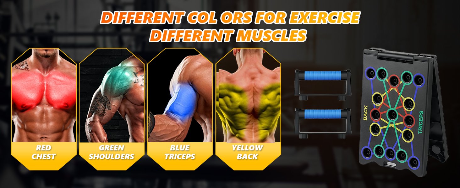 Флінтронік Тримачі для віджимань, дошка для віджимань, складані, портативні, багатофункціональні, для тренувань всього тіла, 24 в 1