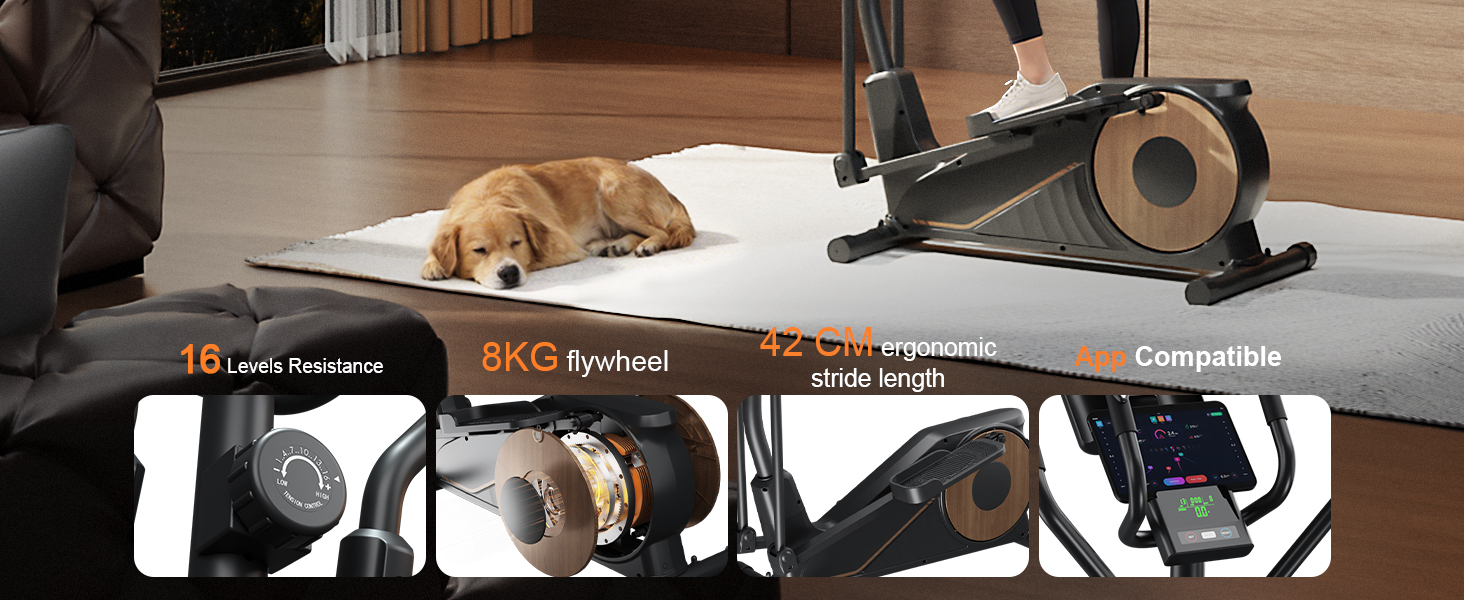 Еліптичний тренажер Aeriflo M100 для дому: маховик 8 кг, підтримка Kinomap, довжина кроку 42 см, пульсометр, магнітна система гальмування, до 150 кг
