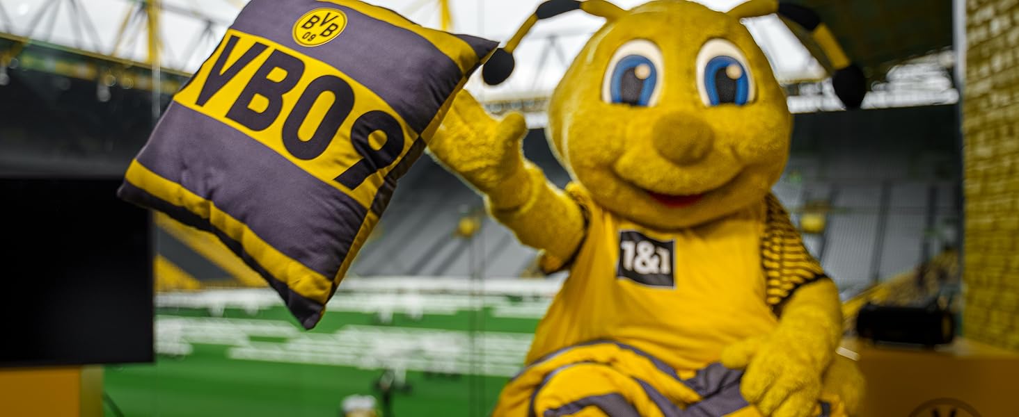 Футбольний м'яч Borussia Dortmund BVB 2024/25 з автографами, жовтий, розмір 5