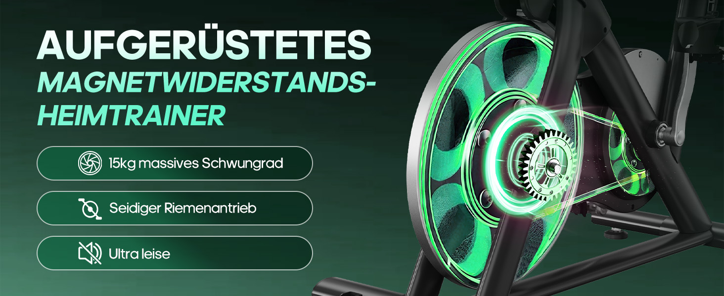 Ергометр DMASUN для дому з регульованим магнітним опором, стійкою для гантелей, важким маховиком, LCD-монітором, регульованою висотою, фітнес-велосипед до 180 кг, зелений [2026 Модель]