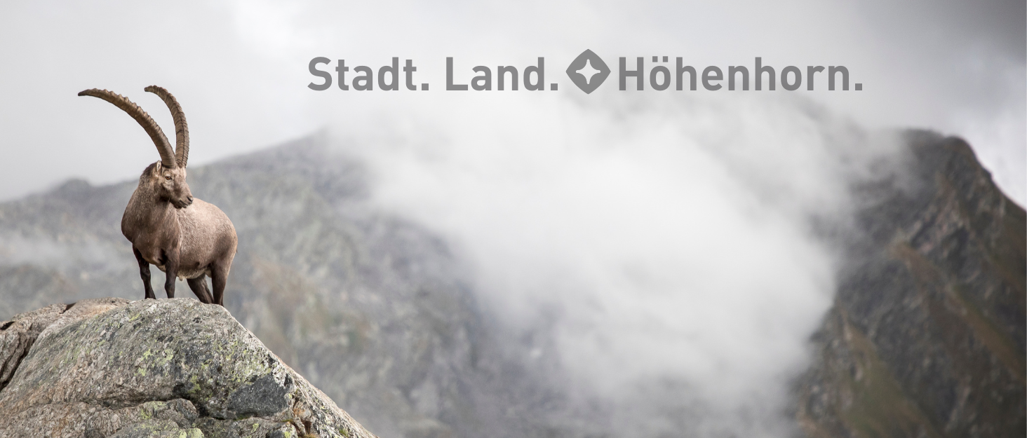 Чоловіча куртка Höhenhorn Balmhorn: перехідна, степкова з капюшоном, колір - Midnight Black, розмір XL