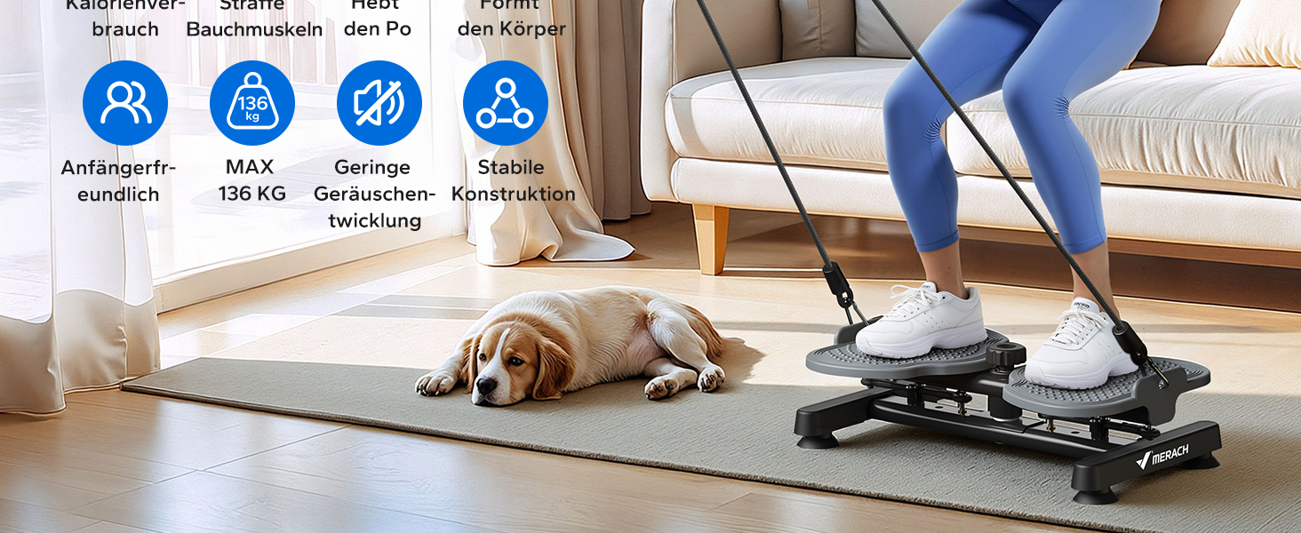 MERACH Диск для скручування тазу, тренажер для пресу з 2 еластичними стрічками, для тонкої талії та силових вправ, до 136 кг, безшумний, сірий