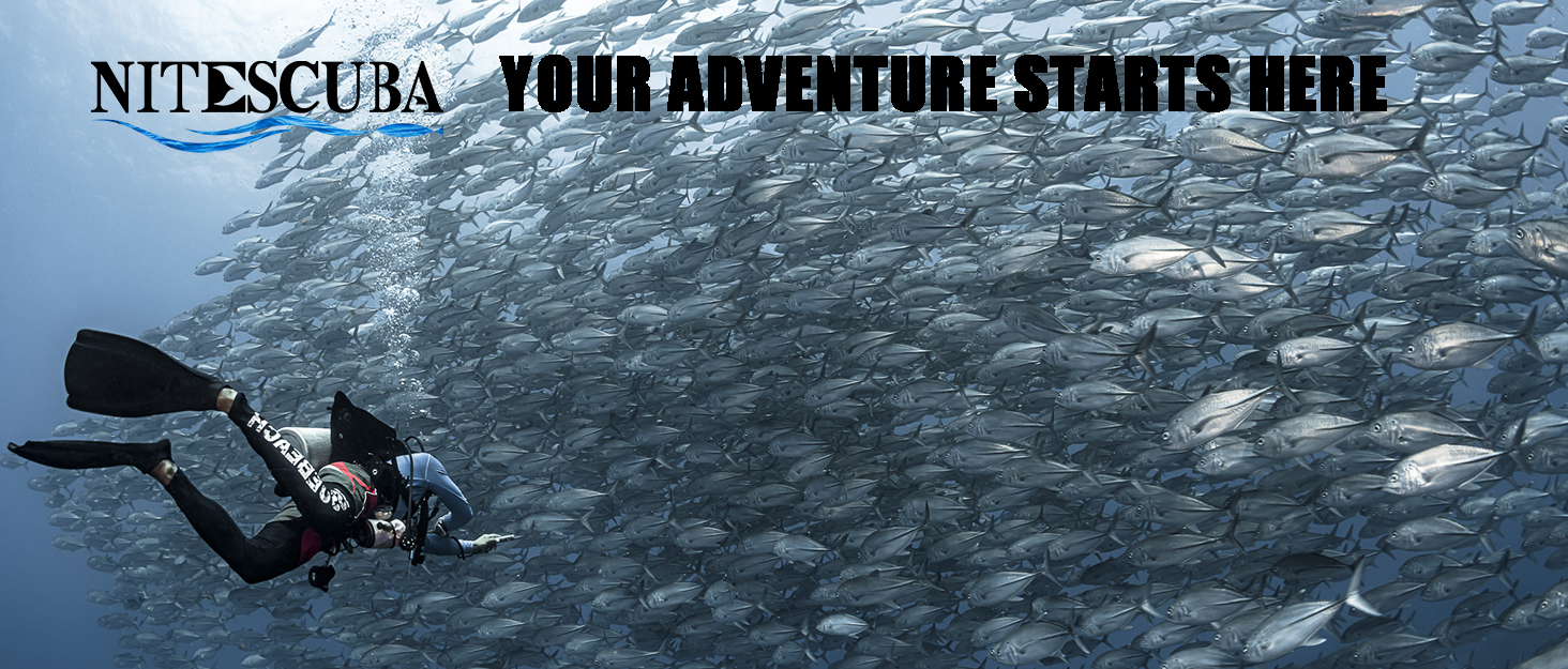 Нейтрик Неопренові рукавички для дайвінгу 3мм, чорні. Рукавички для дайвінгу та снорклінгу для чоловіків та жінок. Захист від холоду, антиковзаюча поверхня, регульований манжет.