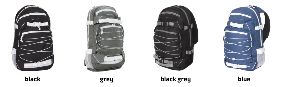 Рюкзак Forvert Ice Louis 19,5 л 50,5×26,5×12 см