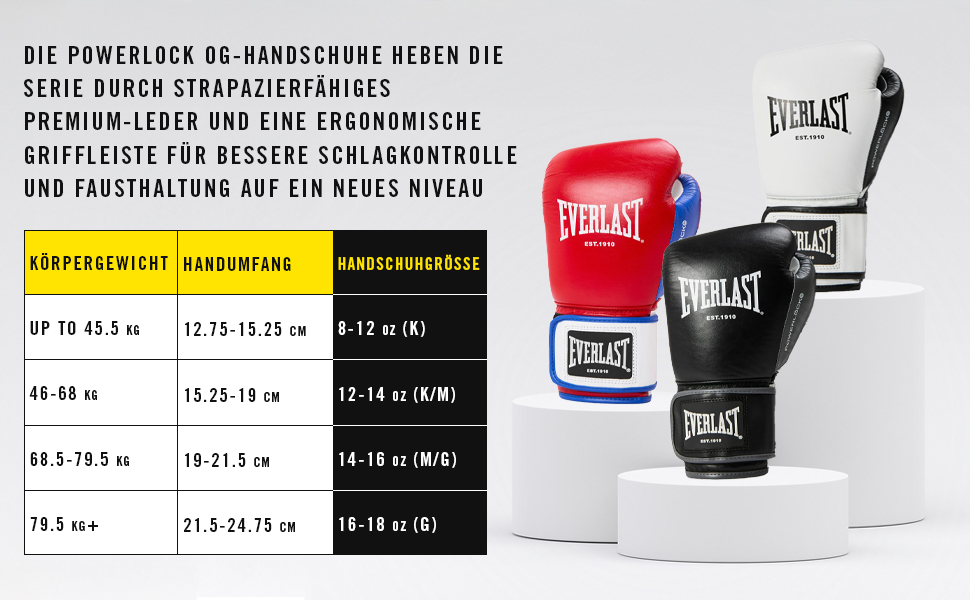 Боксерські рукавички Everlast Powerlock OG Advanced для боксерського мішка та лап, 14oz, біло-чорні