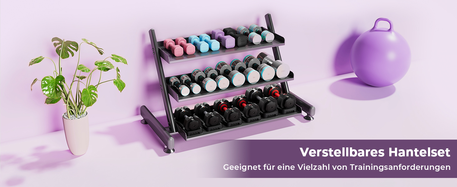 Набір гантелей Dripex регульовані 5 кг x2, з набором дисків 0,5 кг/0,25 кг (фіолетовий)
