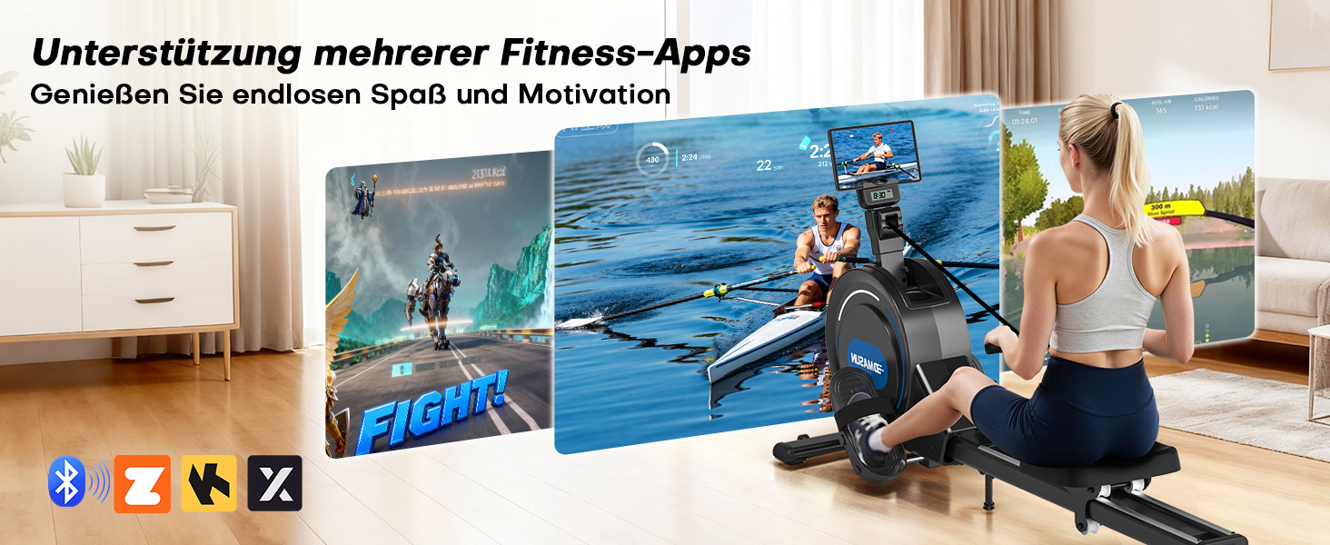 Гребний тренажер DMASUN для дому з магнітною системою опору, 16/32 рівні навантаження, LCD-дисплей, до 160 кг, чорний