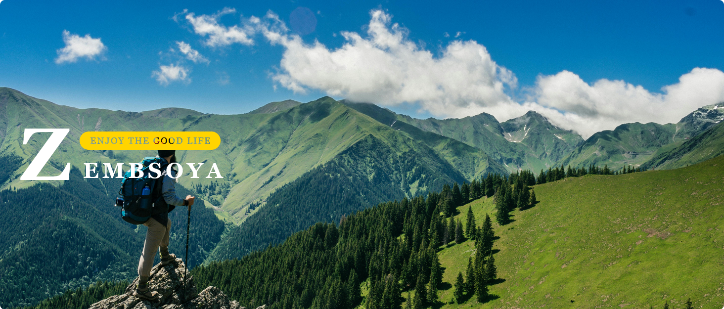 Набір вантажів для зап'ястя та гомілковостопного суглоба (2 шт., по 0.45 кг) – регульовані вантажі, силіконові браслети для жінок та чоловіків, для бігу, джоггінгу, ходьби, йоги, танців, пілатесу, бежеві