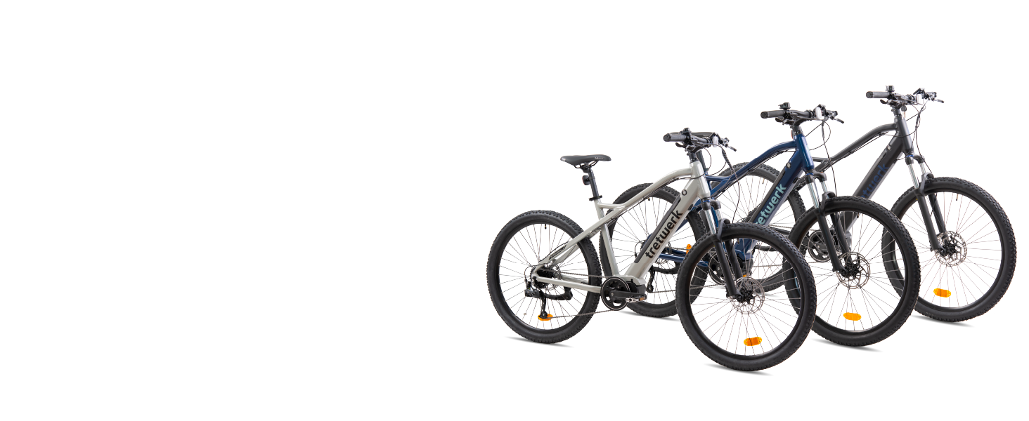 E-Bike MTB 