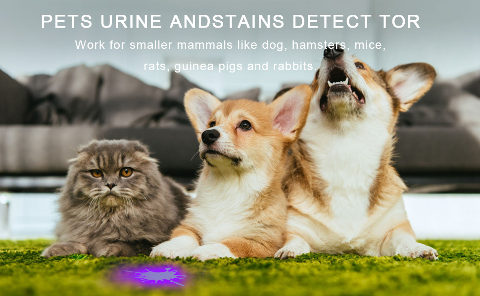 Ліхтар кемпінговий LED 2000 люмен з Powerbank 9900mAh, налобний, з гачком, для кемпінгу, туризму, надзвичайних ситуацій (30W(UV))