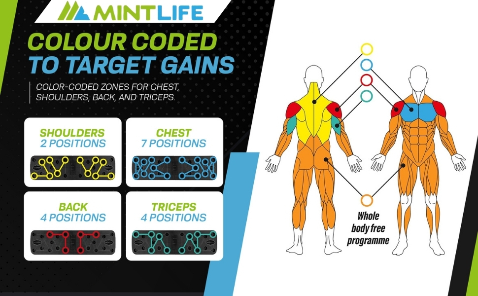 Дошка для віджимань Mintlife Power Press - портативна для дому та подорожей, з 30-тижневою програмою тренувань