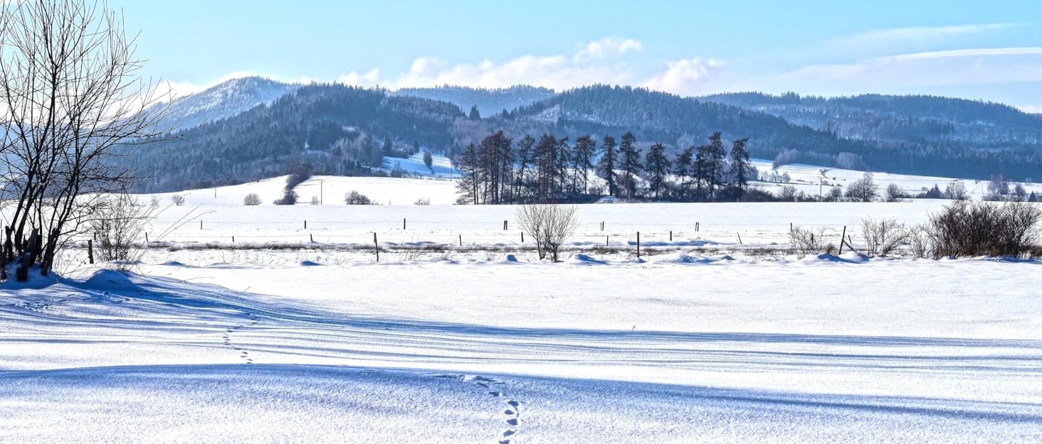 Зимові черевики жіночі водонепроникні, теплі, зручні, антиковзні, для піших прогулянок, трекінгу, відпочинку. Розміри 37-42 EU (Чорний, 37 EU)