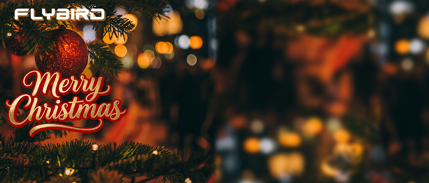 Вібраційна платформа FLYBIRD – Тест-переможець 2025, 120 швидкостей, 150 кг, для всього тіла з пультом, чорний, для жінок, м'язовий розвиток та лімфодренаж