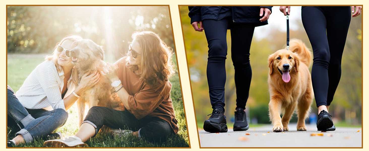 Жіночі кросівки Wondamo: легкі, дихаючі, з амортизацією для бігу, ходьби, активного відпочинку та фітнесу. Розміри 37-42 EU, чорний колір