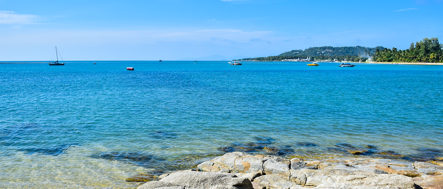 Водні черевики для плавання та серфінгу: чоловічі та жіночі, антиковзаючі, швидковисихаючі, розмір 36-45, колір блакитний
