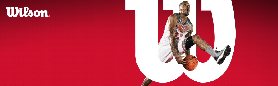 Баскетбольний м'яч Wilson Evolution для чоловіків, ігровий