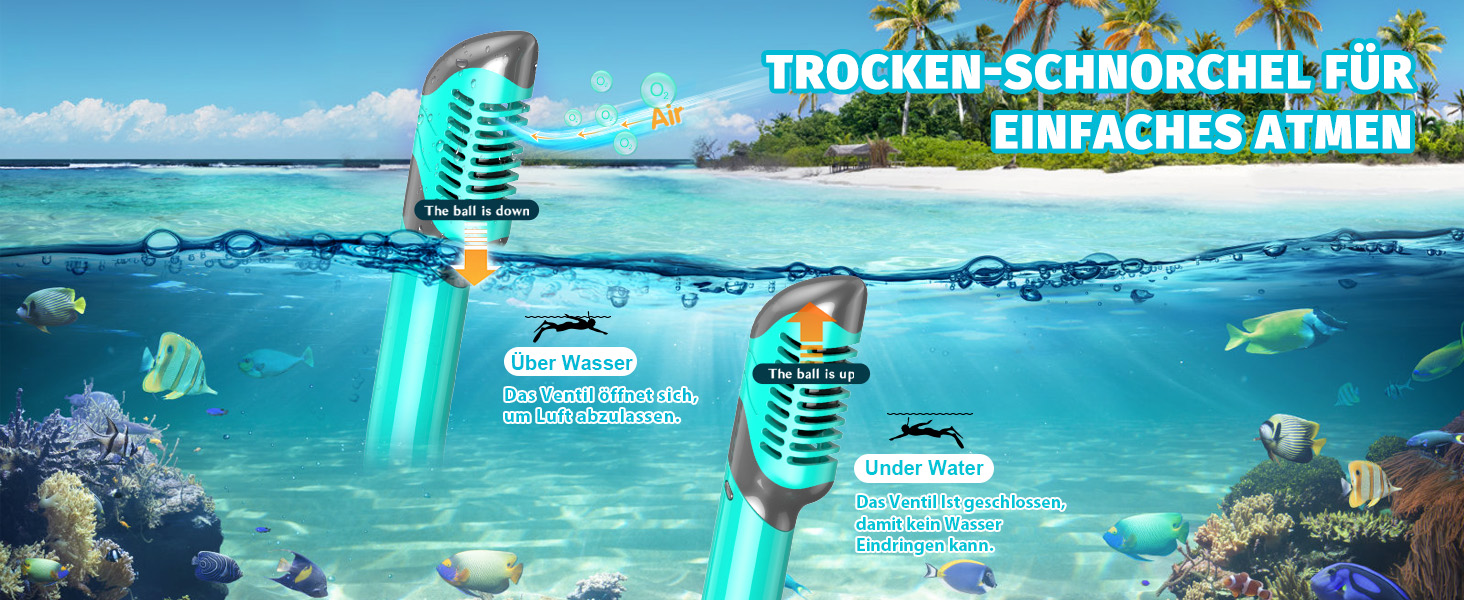 Набір для снорклінгу Zenoplige для дорослих: маска, трубка та ласти. Чорний з зеленим (2023) S/M