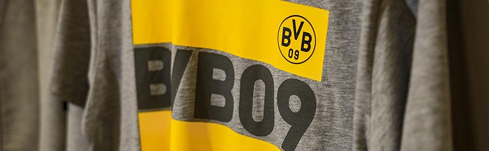 Футбольний сингл BVB