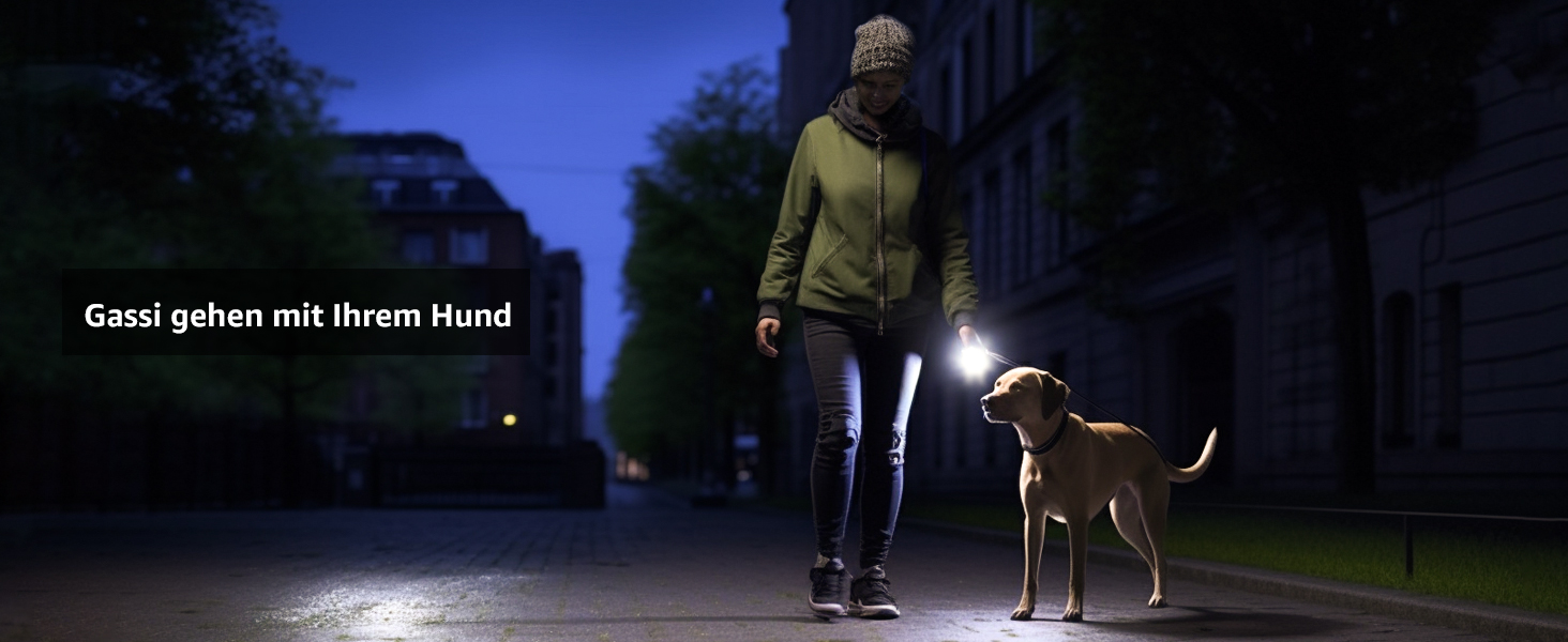 LED ліхтар Lepro LE000 - надзвичайно яскравий, 5 режимів, водонепроникний, для кемпінгу, туризму, риболовлі, подарунок