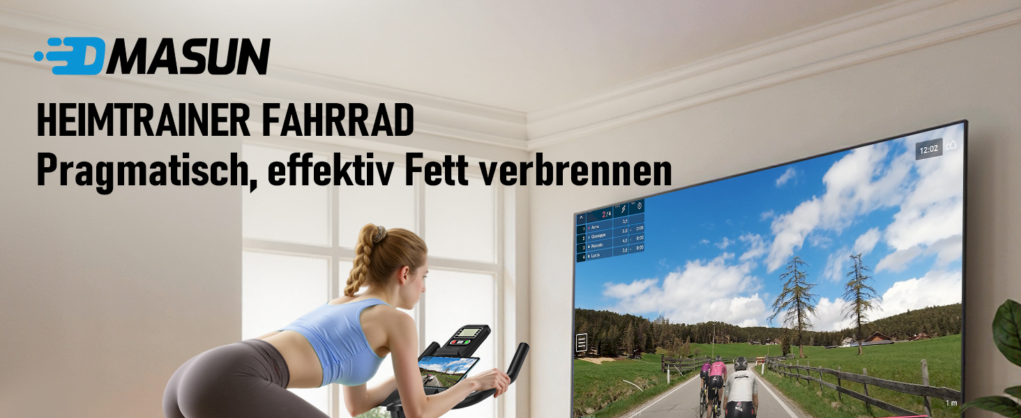 Велотренажер DMASUN з магнітним опором, тихий та стабільний, ергометр з сумісністю з додатком та LCD-монітором, покращений велотренажер для дому, 180 кг, блакитний