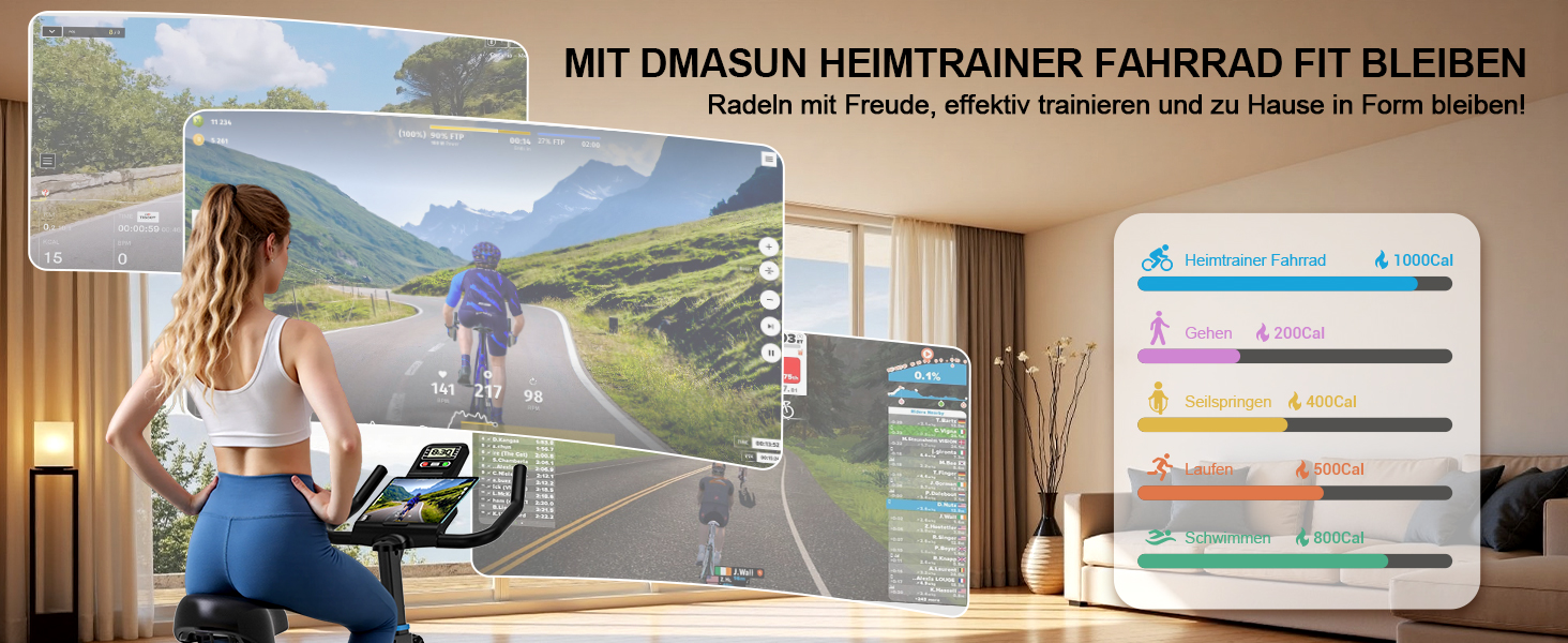 Велотренажер DMASUN з магнітним опором, тихий та стабільний, ергометр з сумісністю з додатком та LCD-монітором, покращений велотренажер для дому, 180 кг, блакитний