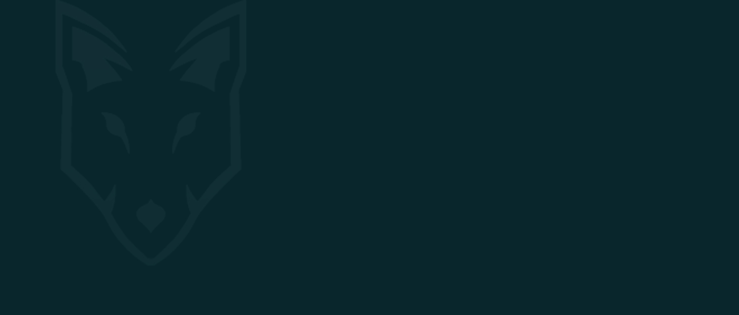 Чохол для велосипеда Leica Gewebe05: еластичний, пилонепроникний, для зберігання та транспортування велосипедів, гірських велосипедів