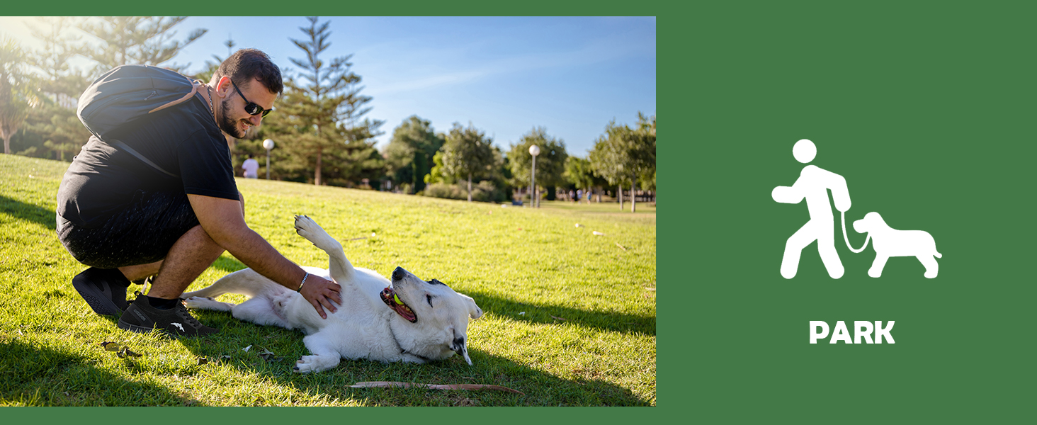 Взуття для ходьби без шкарпеток WateLves: чоловічі та жіночі мінімалістичні трейлранні кросівки, легкі, дихаючі, для фітнесу, 41 EU, чорний